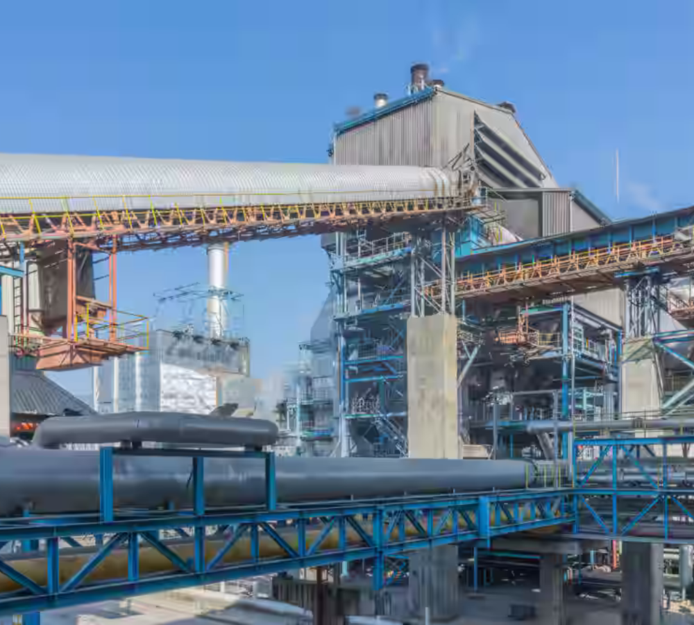 sugar plant